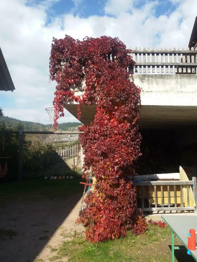 Pitterle Hof Villa Meltina Ngoại thất bức ảnh